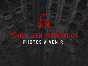 RENAULT MEGANE IV Blue dCi 115 - 21N Business